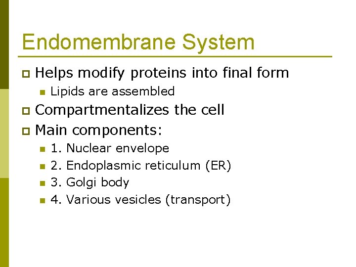 Endomembrane System p Helps modify proteins into final form n Lipids are assembled Compartmentalizes