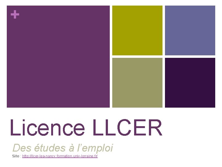 + Licence LLCER Des études à l’emploi Site : http: //llcer-lea-nancy. formation. univ-lorraine. fr/