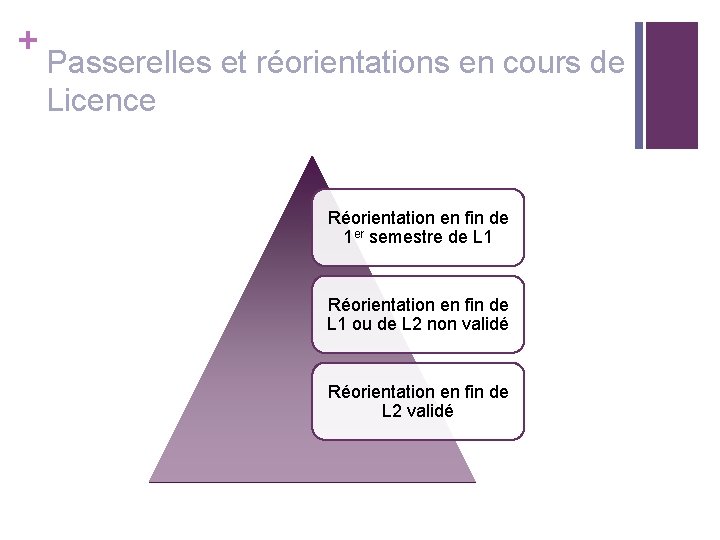 + Passerelles et réorientations en cours de Licence Réorientation en fin de 1 er