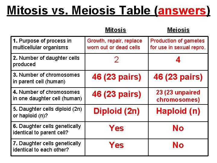 Mitosis vs. Meiosis Table (answers) 1. Purpose of process in multicellular organisms Mitosis Meiosis