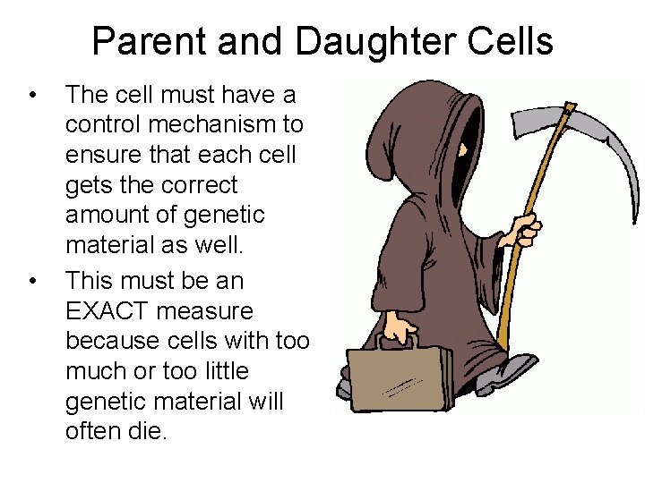 Parent and Daughter Cells • • The cell must have a control mechanism to