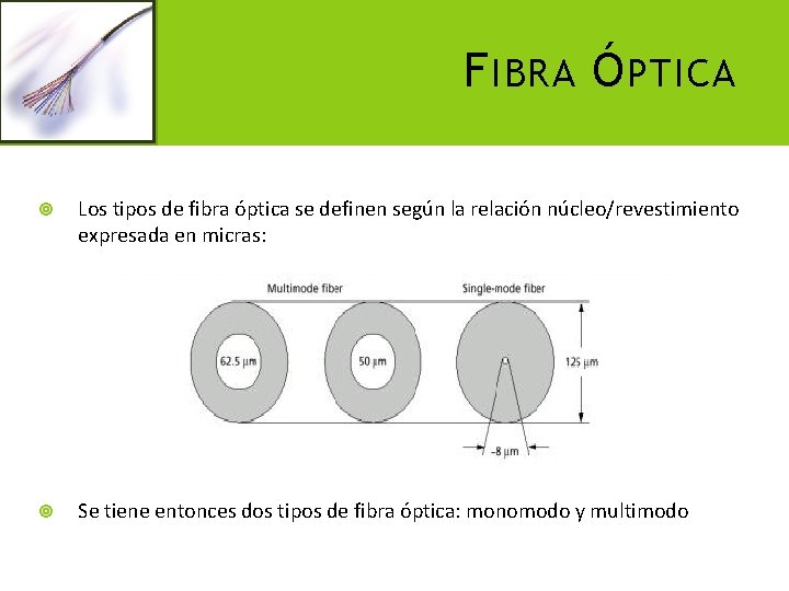 F IBRA Ó PTICA Los tipos de fibra óptica se definen según la relación