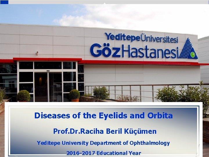 YEDİTEPE ÜNİVERSİTESİ GÖZ HASTANESİ Diseases of the Eyelids and Orbita Prof. Dr. Raciha Beril