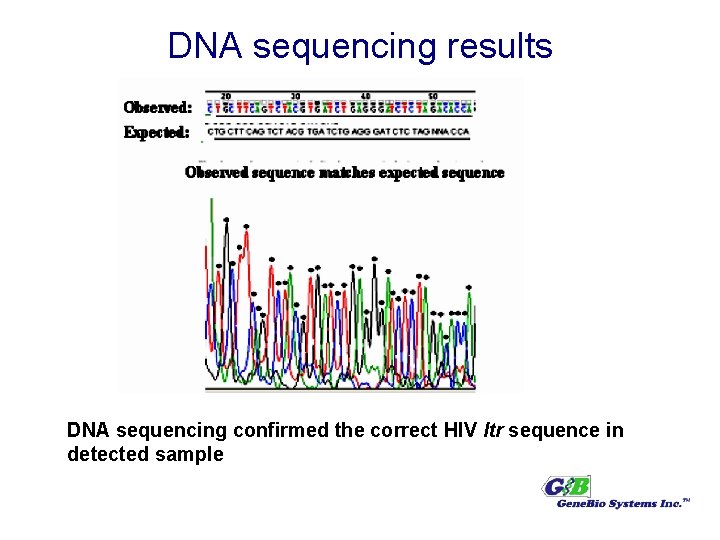 DNA sequencing results DNA sequencing confirmed the correct HIV ltr sequence in detected sample