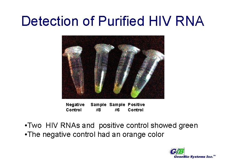 Detection of Purified HIV RNA Negative Control Sample Positive #8 #6 Control • Two