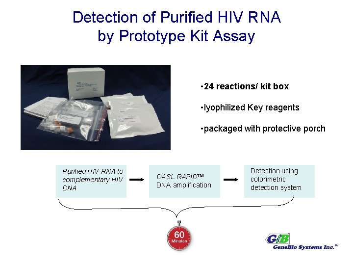 Detection of Purified HIV RNA by Prototype Kit Assay • 24 reactions/ kit box