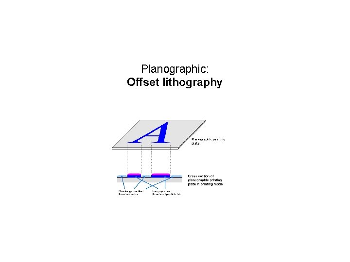 Planographic: Offset lithography 