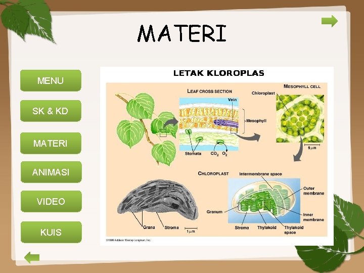 MATERI MENU SK & KD MATERI ANIMASI VIDEO KUIS 