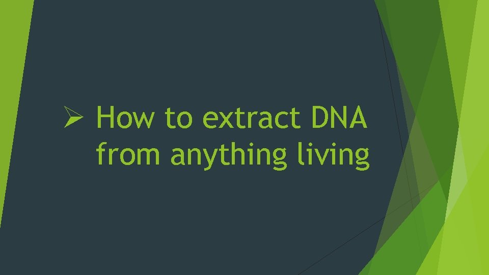 Ø How to extract DNA from anything living 