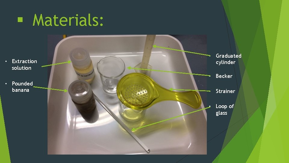 § Materials: • Extraction solution • Graduated cylinder • Becker • Pounded banana •