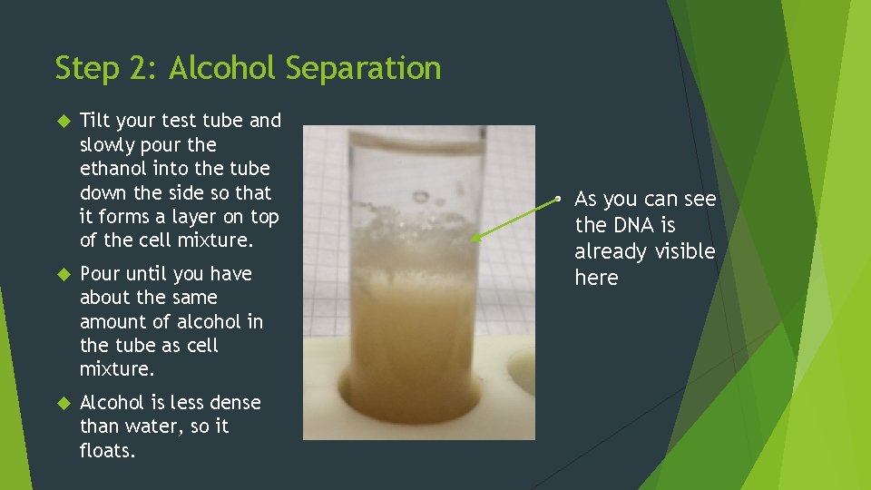 Step 2: Alcohol Separation Tilt your test tube and slowly pour the ethanol into