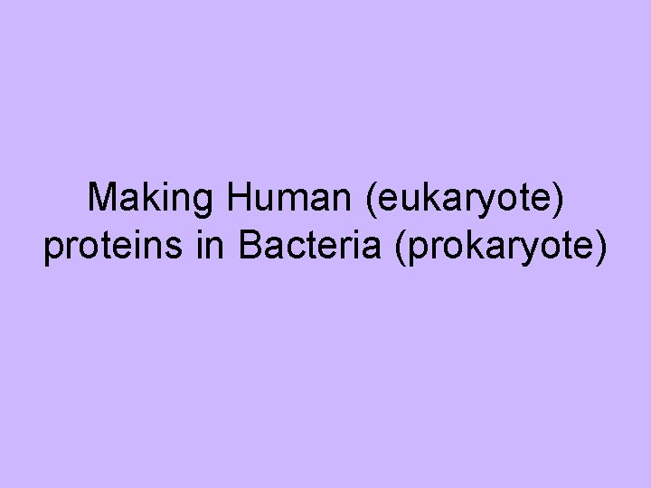 Making Human (eukaryote) proteins in Bacteria (prokaryote) 