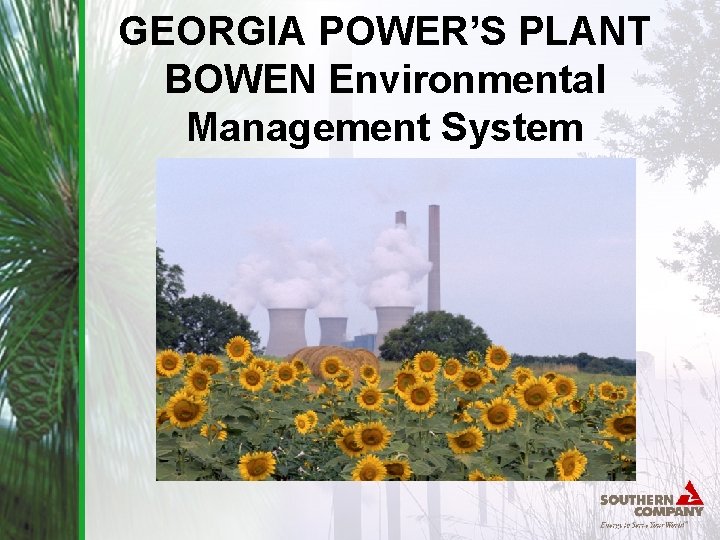 GEORGIA POWER’S PLANT BOWEN Environmental Management System 