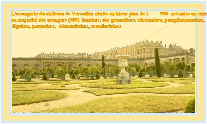 L'orangerie du château de Versailles abrite en hiver plus de 1 900 arbustes en