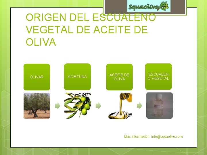 ORIGEN DEL ESCUALENO VEGETAL DE ACEITE DE OLIVAR ACEITUNA ACEITE DE OLIVA ESCUALEN O