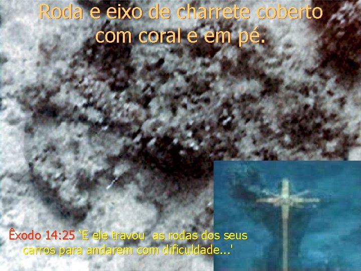 Roda e eixo de charrete coberto com coral e em pé. Êxodo 14: 25
