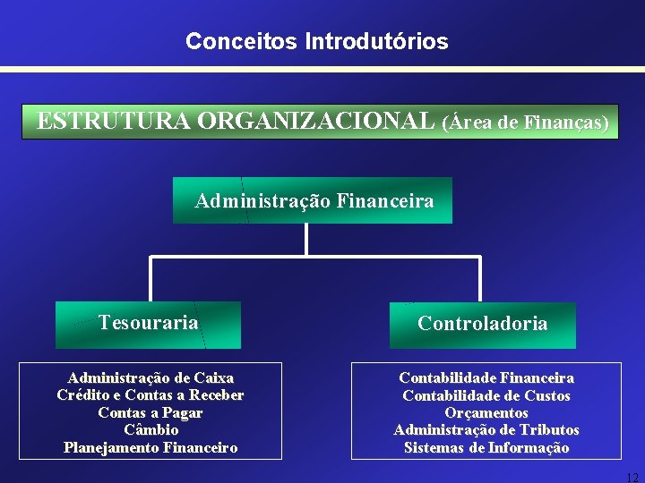 Conceitos Introdutórios ESTRUTURA ORGANIZACIONAL (Área de Finanças) Administração Financeira Tesouraria Controladoria Administração de Caixa Conceitos Introdutórios ESTRUTURA ORGANIZACIONAL (Área de Finanças) Administração Financeira Tesouraria Controladoria Administração de Caixa