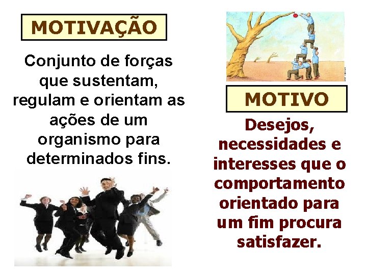 MOTIVAÇÃO Conjunto de forças que sustentam, regulam e orientam as ações de um organismo