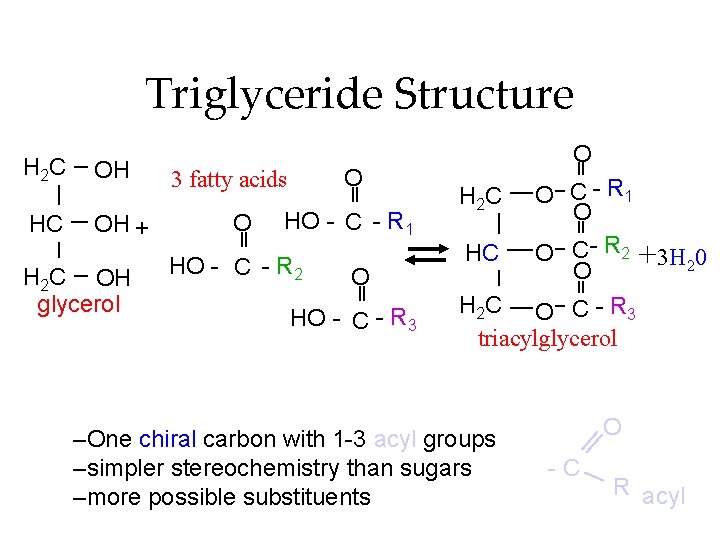 Triglyceride Structure H 2 C OH 3 fatty acids O O O C -