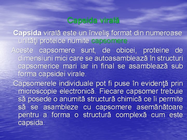 Capsida virală este un înveliş format din numeroase unităţi proteice numite capsomere. Aceste capsomere