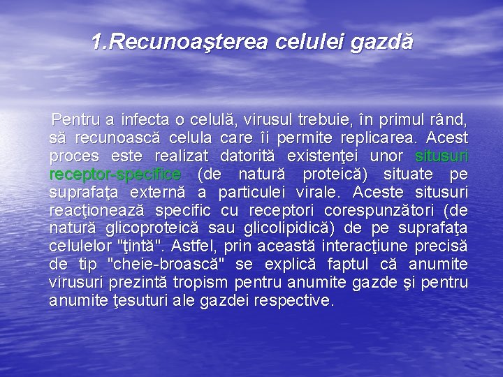 1. Recunoaşterea celulei gazdă Pentru a infecta o celulă, virusul trebuie, în primul rând,