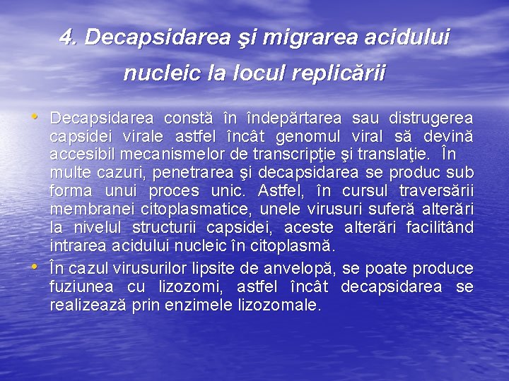 4. Decapsidarea şi migrarea acidului nucleic la locul replicării • Decapsidarea constă în îndepărtarea