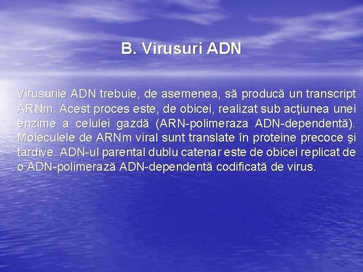 B. Virusuri ADN Virusurile ADN trebuie, de asemenea, să producă un transcript ARNm. Acest