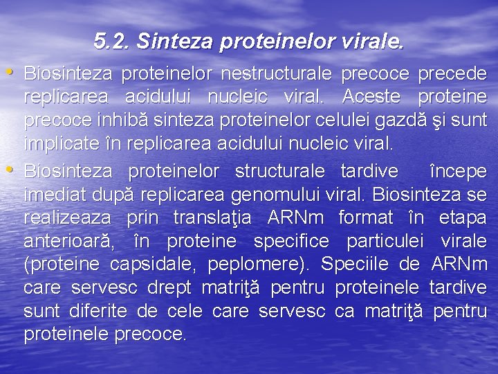 5. 2. Sinteza proteinelor virale. • Biosinteza proteinelor nestructurale precoce precede • replicarea acidului
