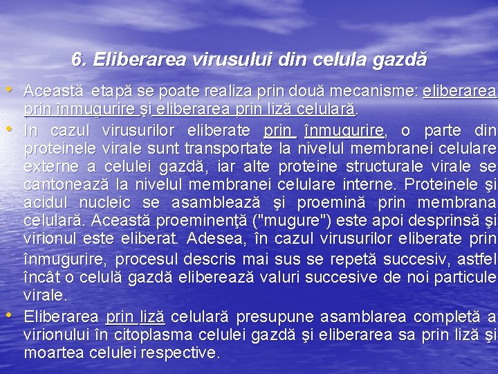 6. Eliberarea virusului din celula gazdă • Această etapă se poate realiza prin două