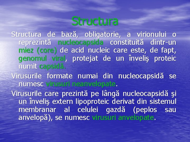 Structura de bază, obligatorie, a virionului o reprezintă nucleocapsida constituită dintr-un miez (core) de