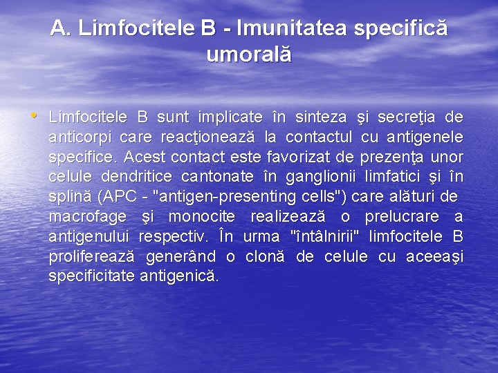 A. Limfocitele B - Imunitatea specifică umorală • Limfocitele B sunt implicate în sinteza