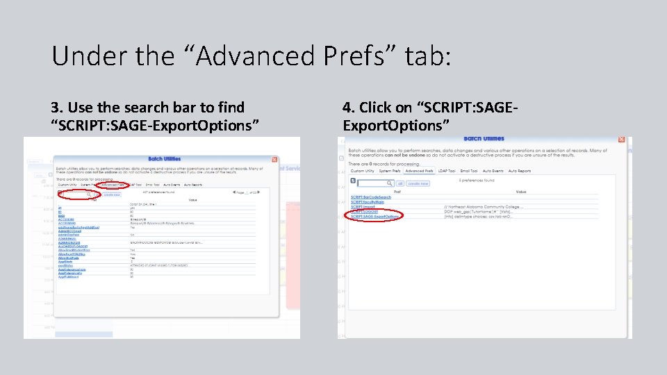 Under the “Advanced Prefs” tab: 3. Use the search bar to find “SCRIPT: SAGE-Export.