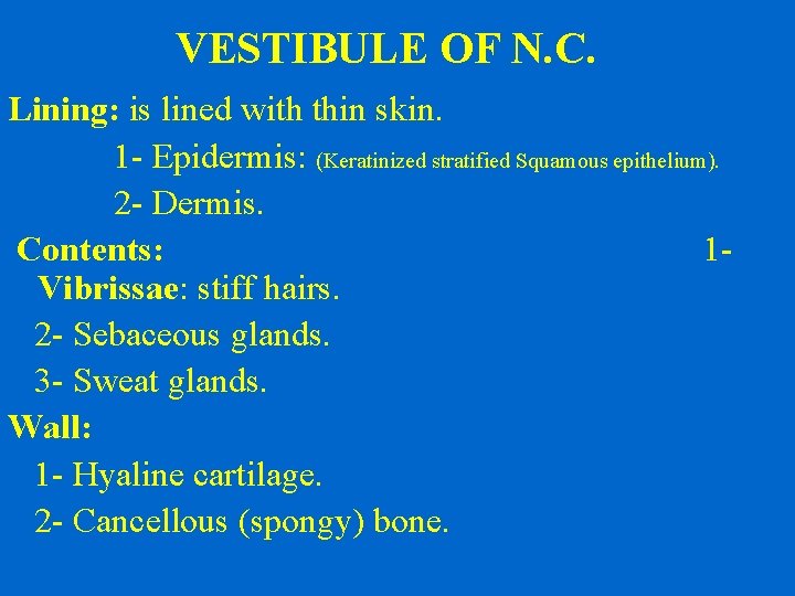 VESTIBULE OF N. C. Lining: is lined with thin skin. 1 - Epidermis: (Keratinized