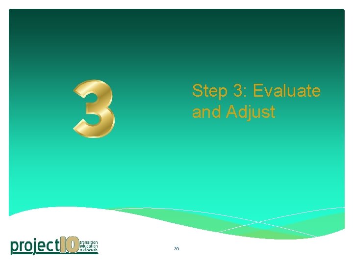 Step 3: Evaluate and Adjust 75 