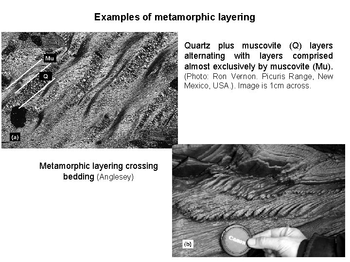 Examples of metamorphic layering Quartz plus muscovite (Q) layers alternating with layers comprised almost