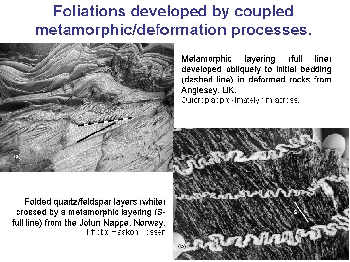 Foliations developed by coupled metamorphic/deformation processes. Metamorphic layering (full line) developed obliquely to initial