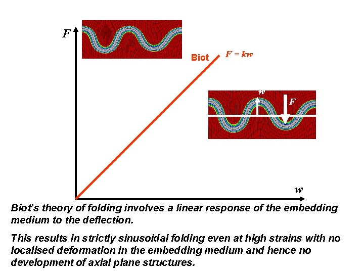 F Biot F = kw w F w Biot’s theory of folding involves a