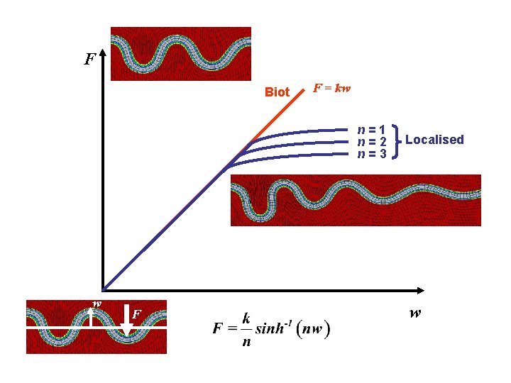 F Biot F = kw n = 1 n = 2 n = 3