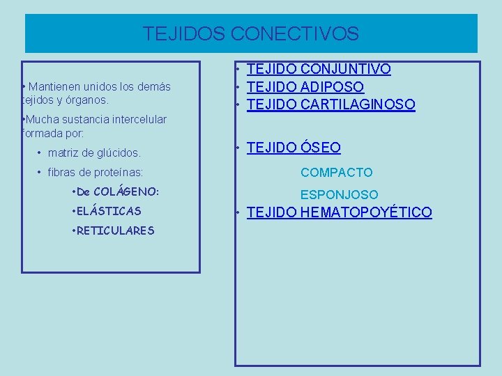 TEJIDOS CONECTIVOS • Mantienen unidos los demás tejidos y órganos. • Mucha sustancia intercelular