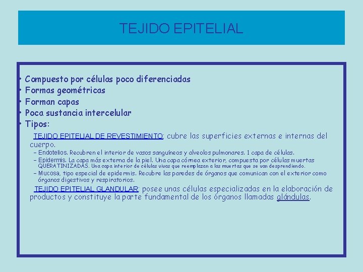 TEJIDO EPITELIAL • • • Compuesto por células poco diferenciadas Formas geométricas Forman capas