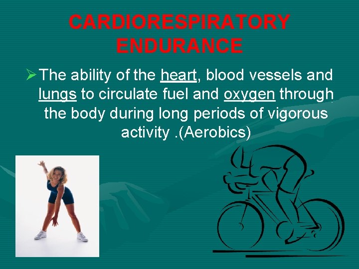 CARDIORESPIRATORY ENDURANCE Ø The ability of the heart, blood vessels and lungs to circulate