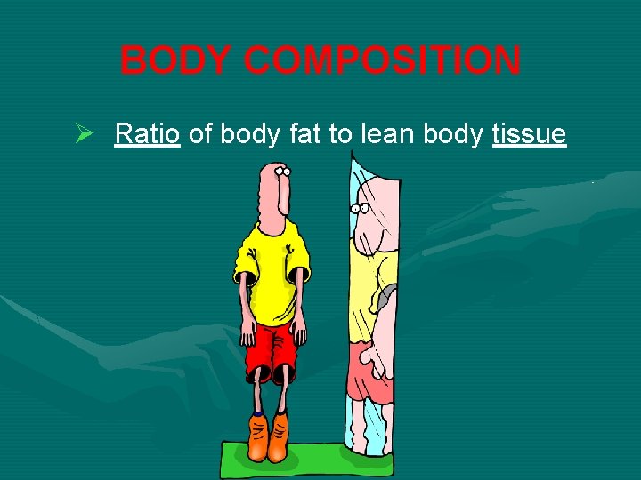 BODY COMPOSITION Ø Ratio of body fat to lean body tissue 