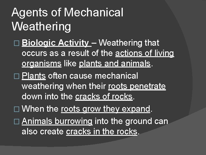 Agents of Mechanical Weathering � Biologic Activity – Weathering that occurs as a result