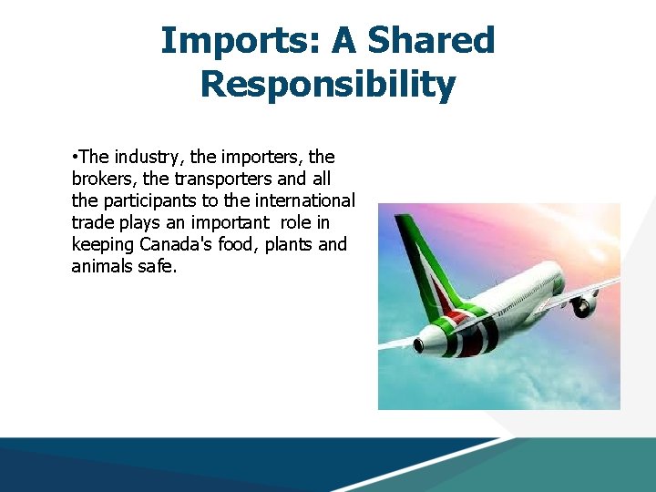 Imports: A Shared Responsibility • The industry, the importers, the brokers, the transporters and