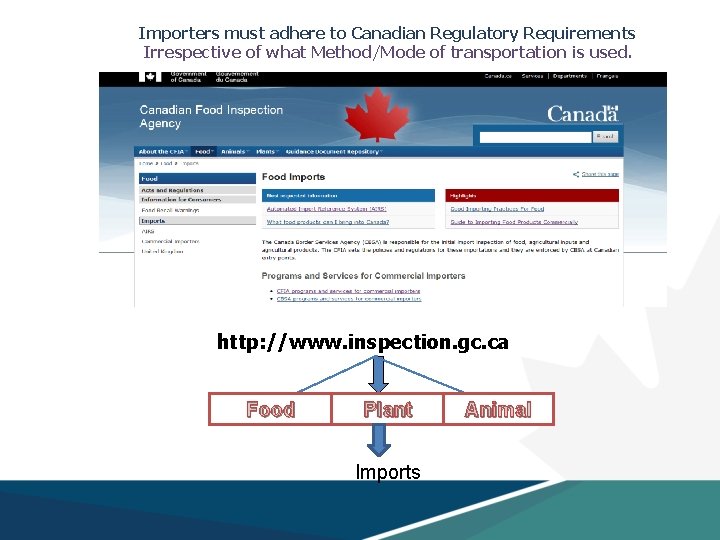 Importers must adhere to Canadian Regulatory Requirements Irrespective of what Method/Mode of transportation is