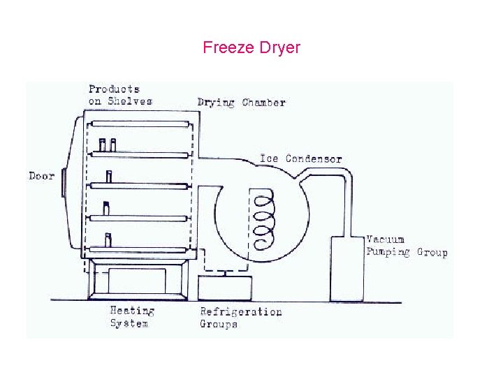 Freeze Dryer 