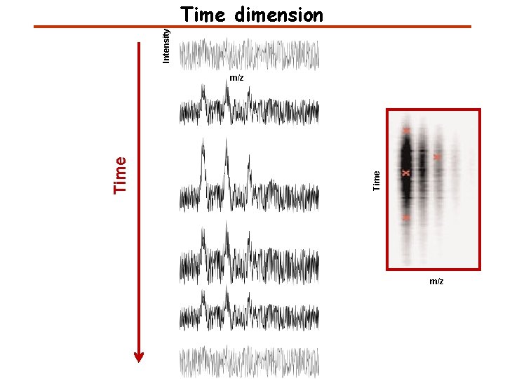 Intensity Time dimension Time m/z 