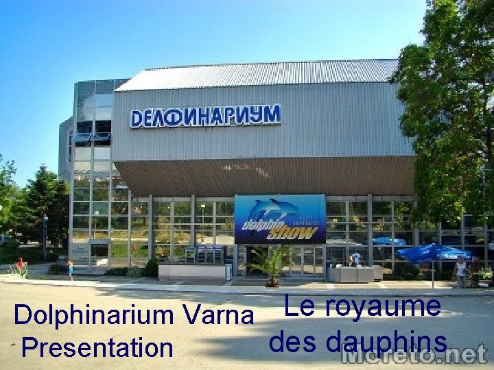 Dolphinarium Varna Le royaume des dauphins Presentation 