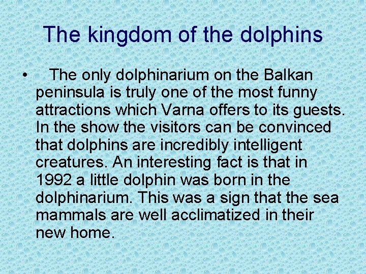 The kingdom of the dolphins • The only dolphinarium on the Balkan peninsula is