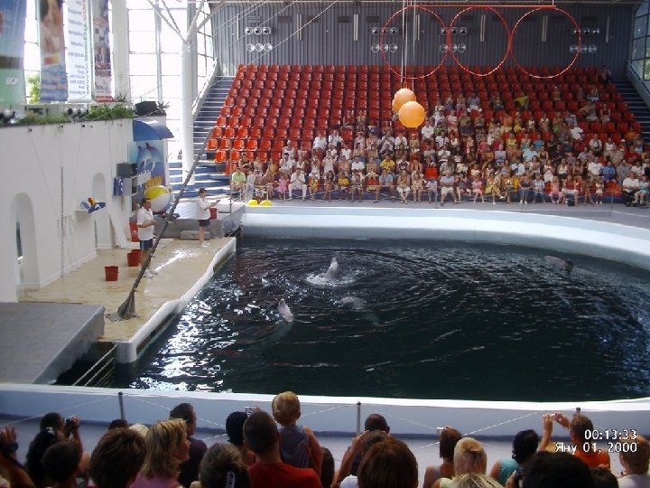 Opened for visitations on the 2 nd of August 1984, the Varna Dolphinarium has